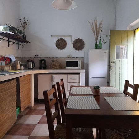 Casa Calma Hostel Colonia del Sacramento Luaran gambar